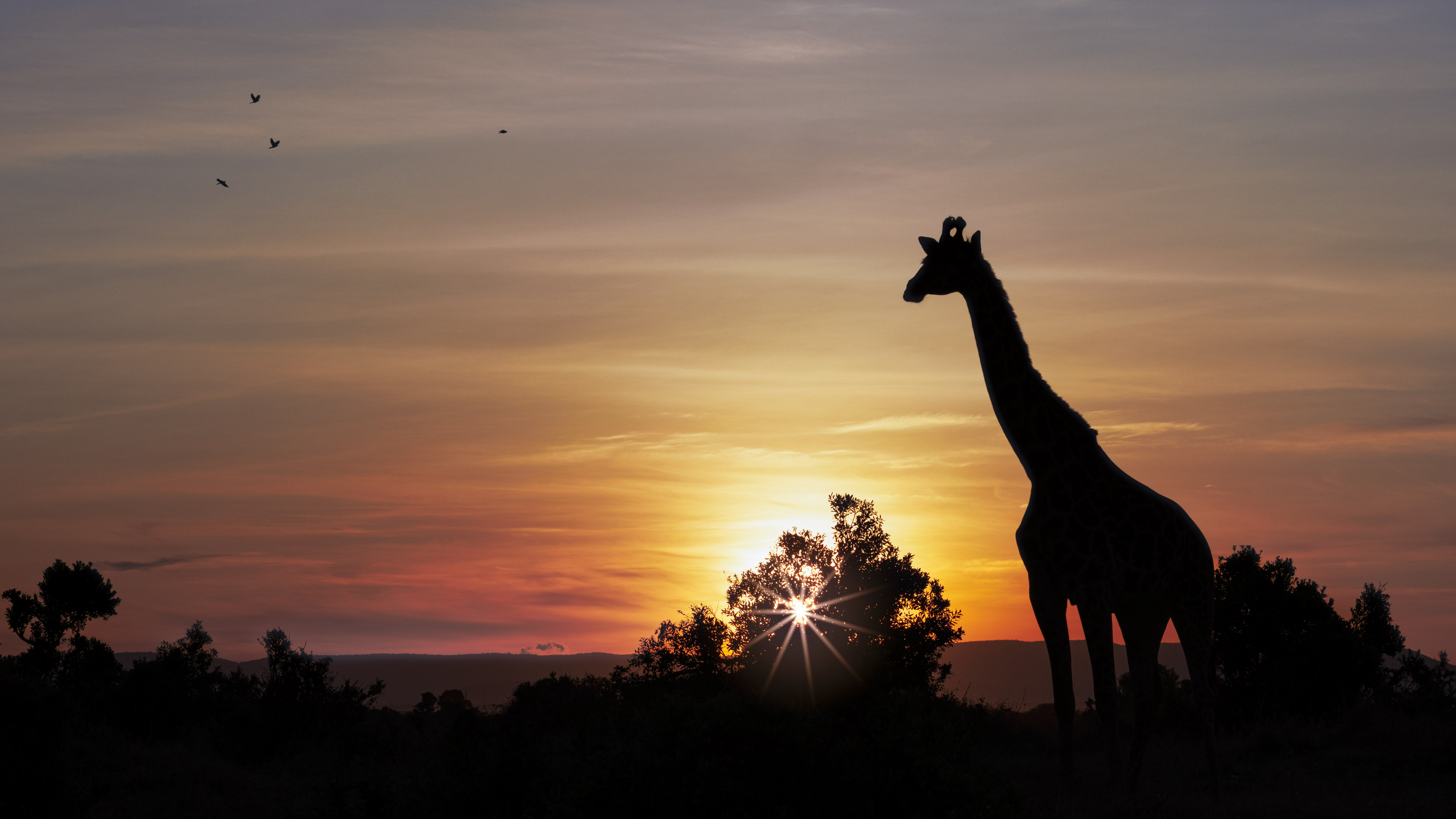 November 10, 2022-062122-3-Edit.jpg